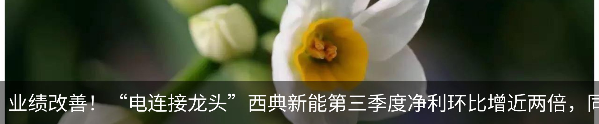 新闻中心